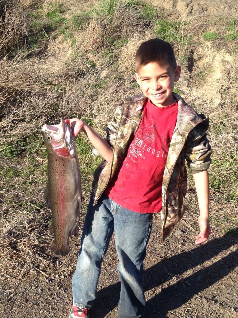 Big fish